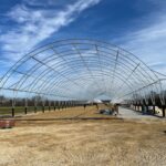 A professional construction crew assembling a large white fabric hoop building frame on a clear day, demonstrating expert installation techniques and teamwork.